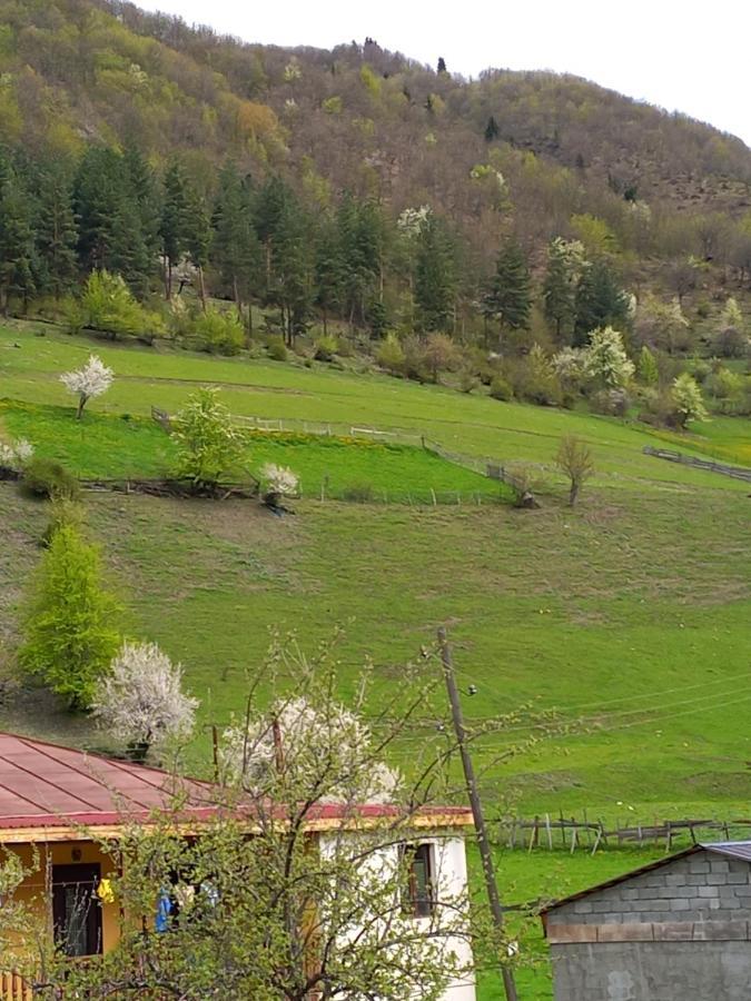 Saba Otel Mestia Dış mekan fotoğraf