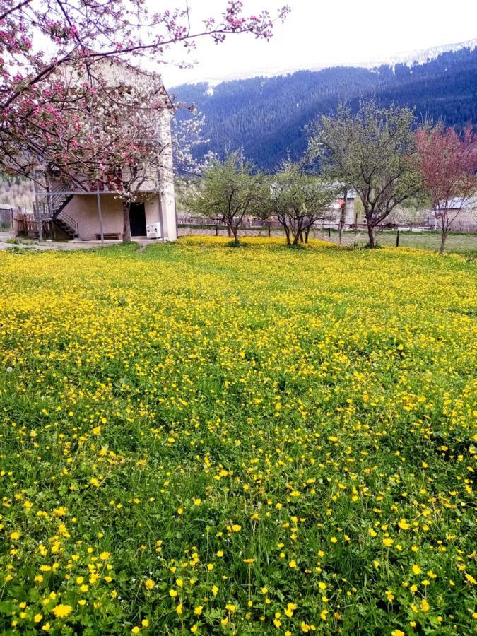 Saba Otel Mestia Dış mekan fotoğraf