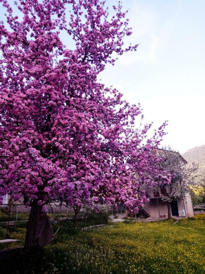 Saba Otel Mestia Dış mekan fotoğraf